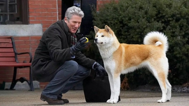 Hachiko Bir Köpeğin Hikâyesi-3